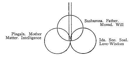 Sushumna / Pingala / Ida